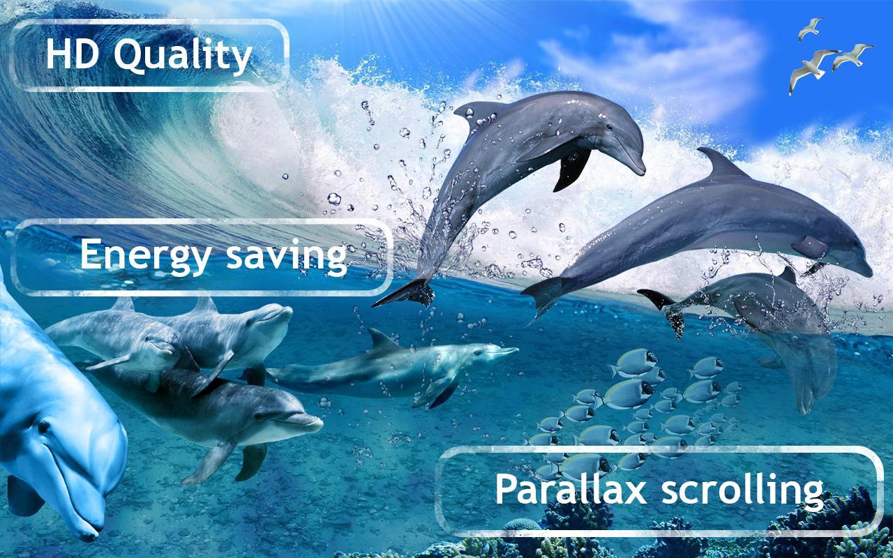 Happy Dolphins Live Wallpaper