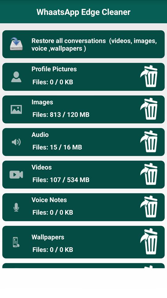 Cleaner Whats pro