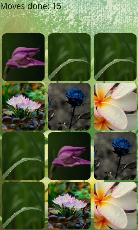 Flowers Memory HD