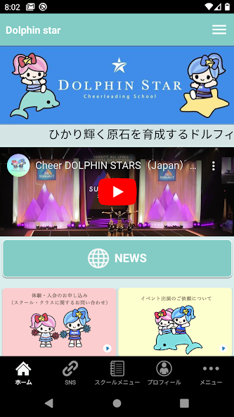 Dolphin star