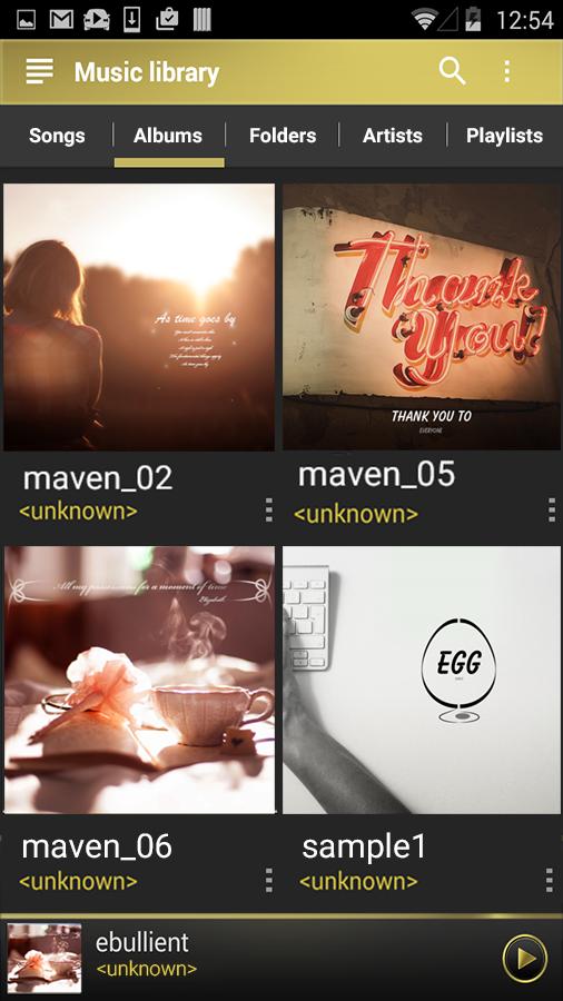 MAVEN Player Gold(Black) Skin