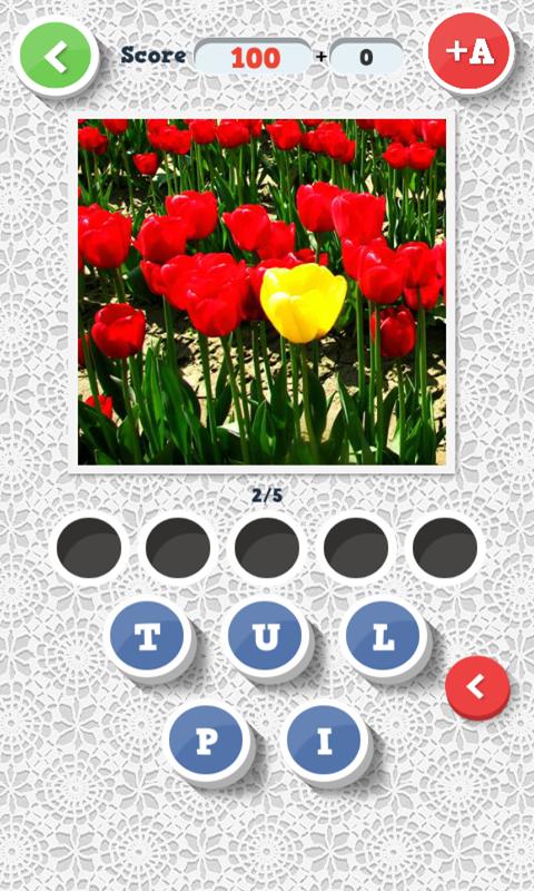 Guess what? Flowers