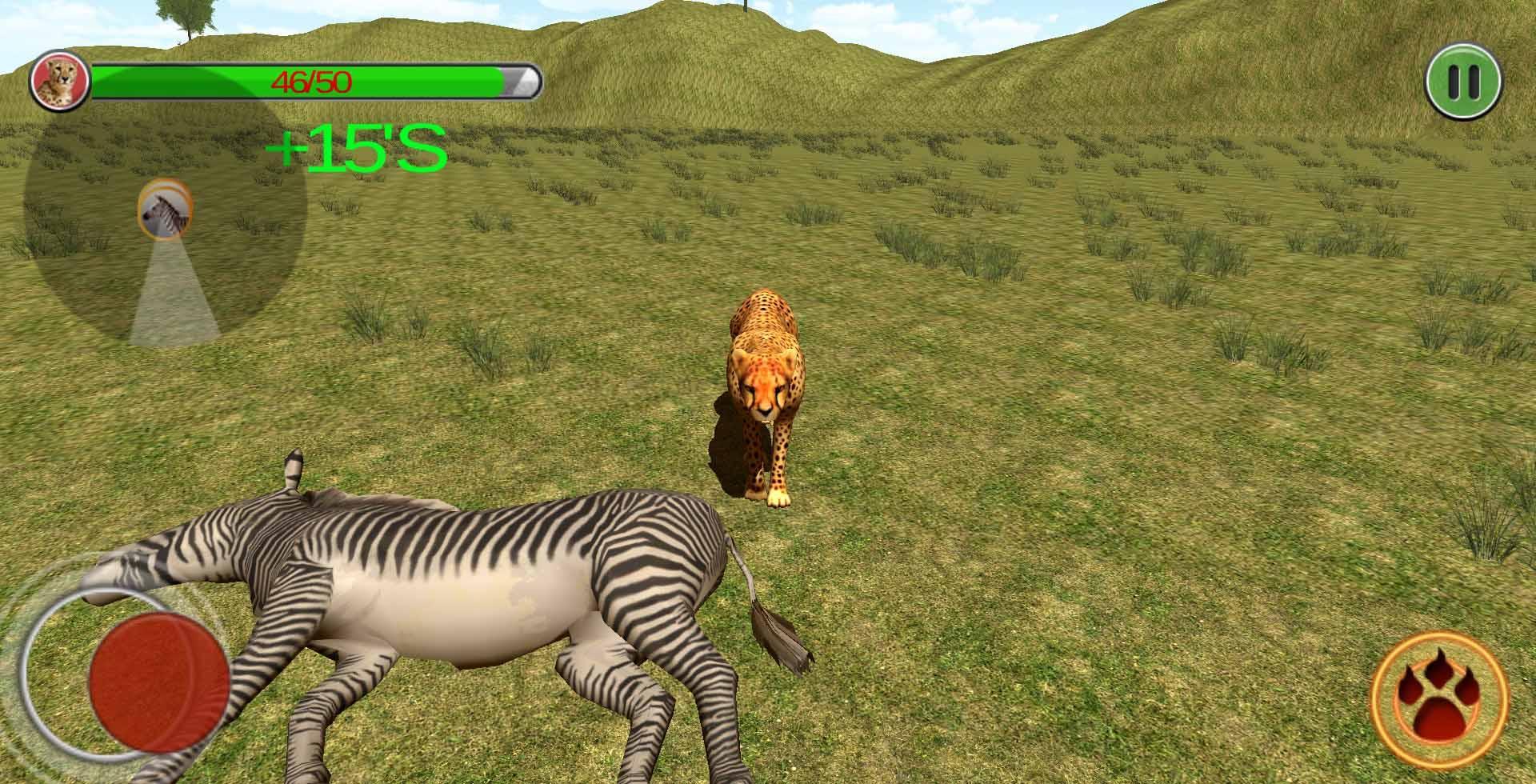 wild cheetah