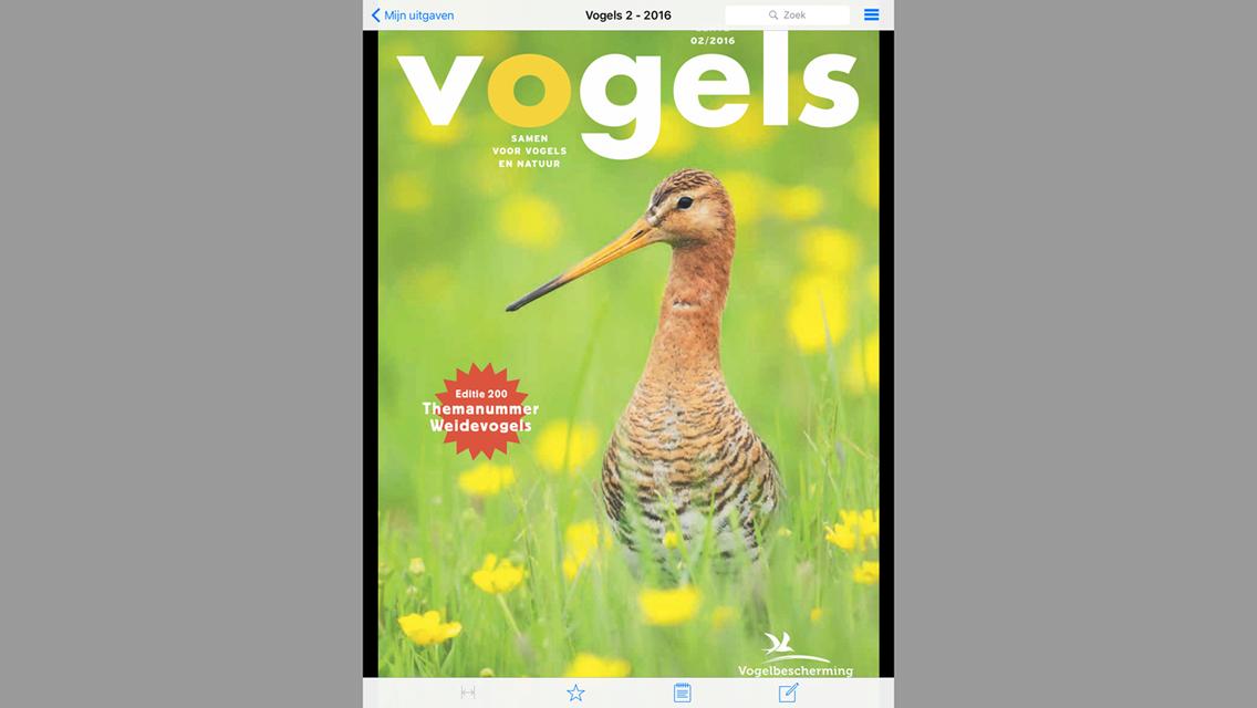 Vogelbescherming