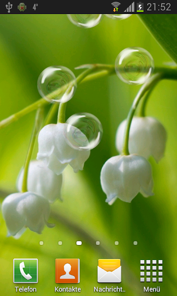 May-lily Live Wallpaper