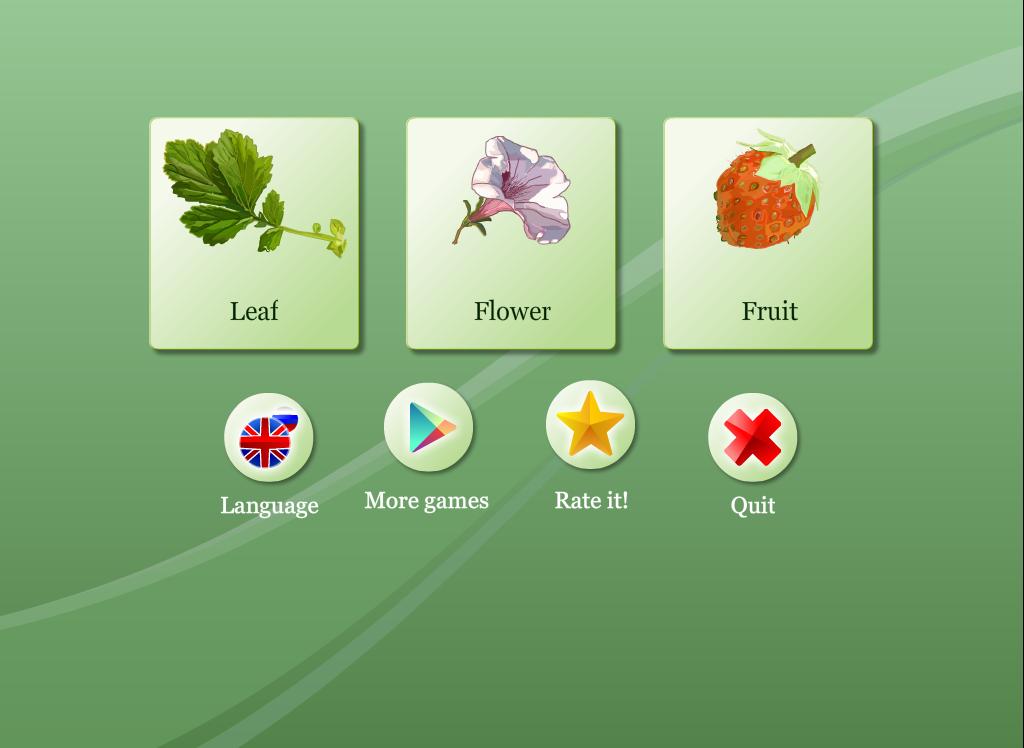 Biology - Plant Morphology