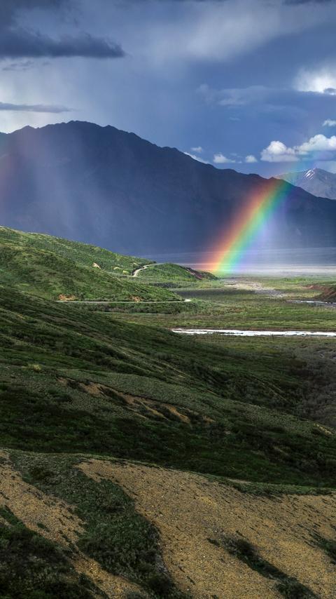 rainbow live wallpaper