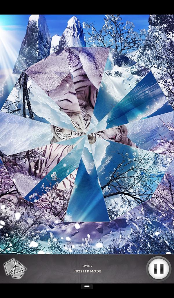 Hidden Scenes Winter Creatures