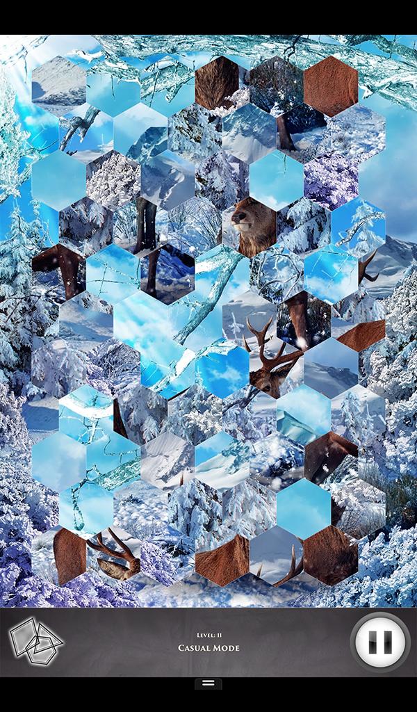 Hidden Scenes Winter Creatures