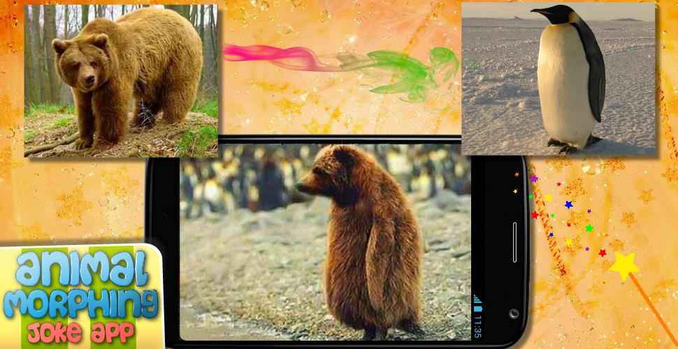 Animal face morphing photo