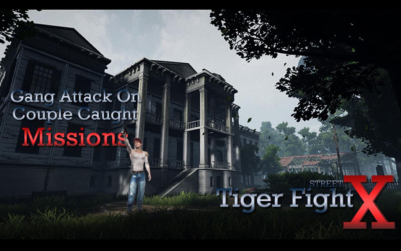 Tiger Fight Street X