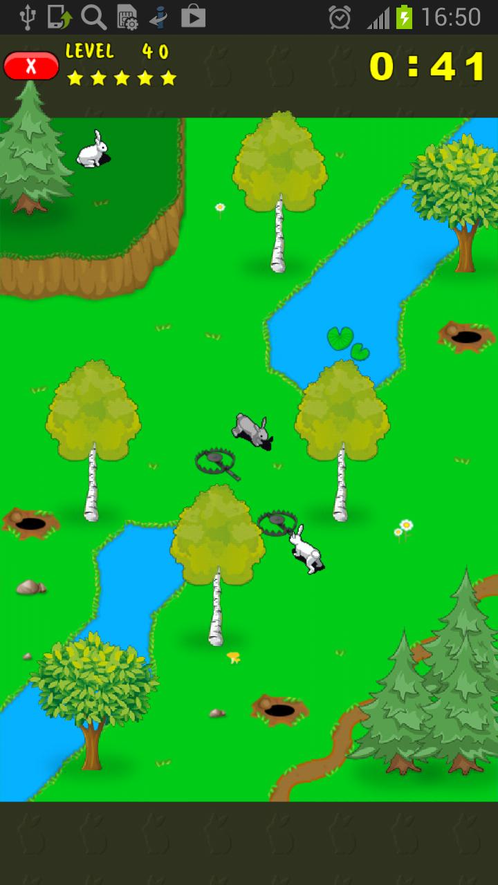 Rabbits. Memory and count