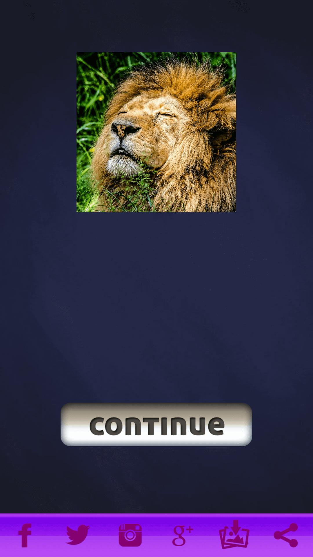 Jungle Animals Jigsaw Puzzles