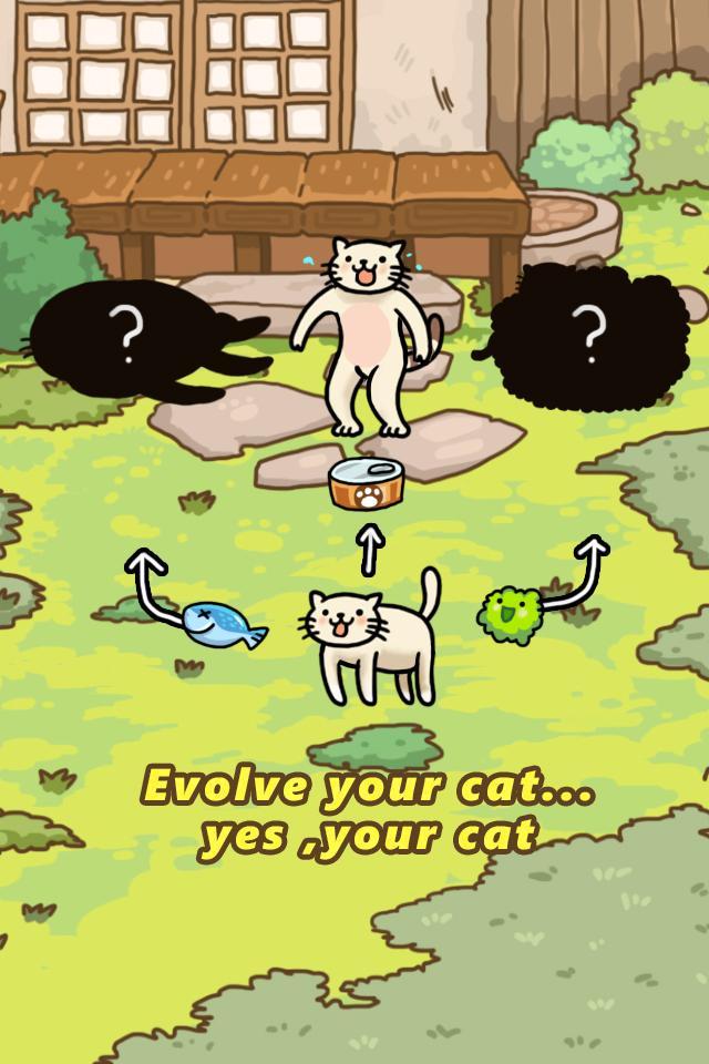 Cat Evolution World