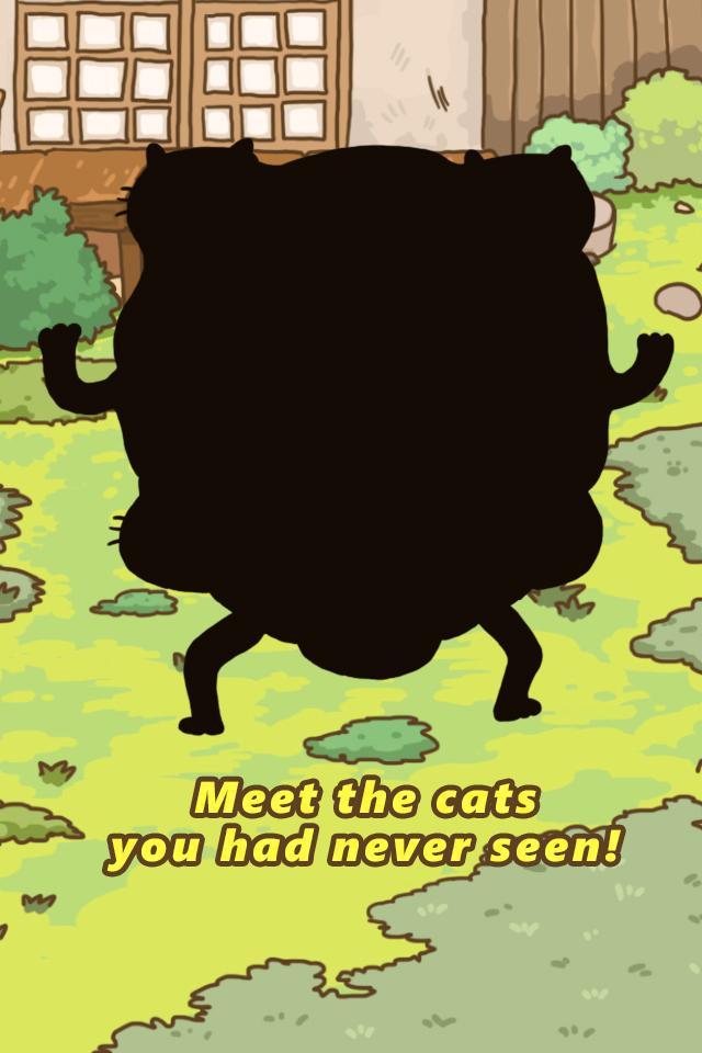 Cat Evolution World