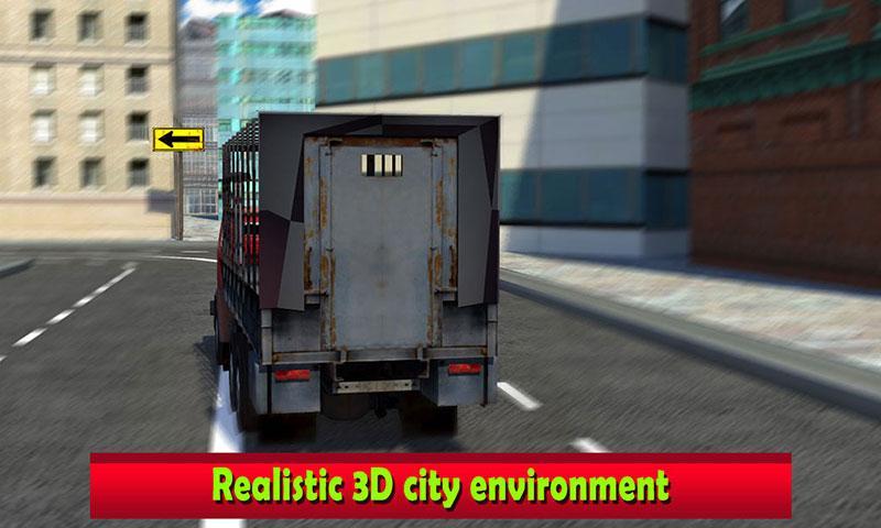 Pet Home Delivery: Van