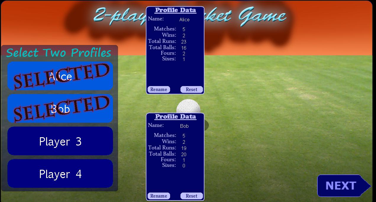 2 Player Cricket Game - CASUAL