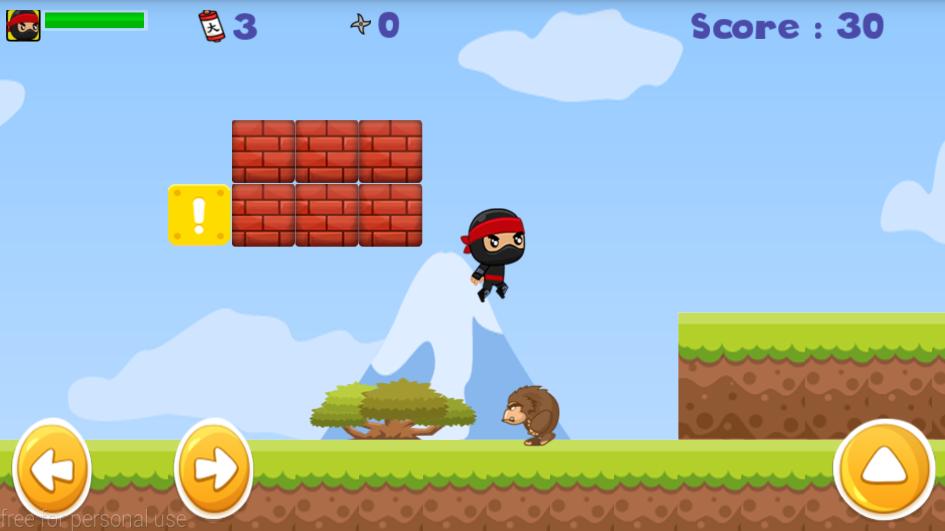 Super Dragon Warrior Game