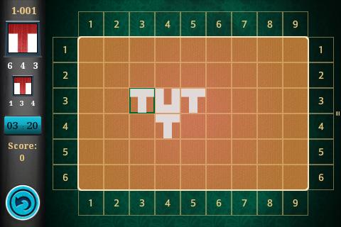 Real IQ Test. Einstein Puzzle.