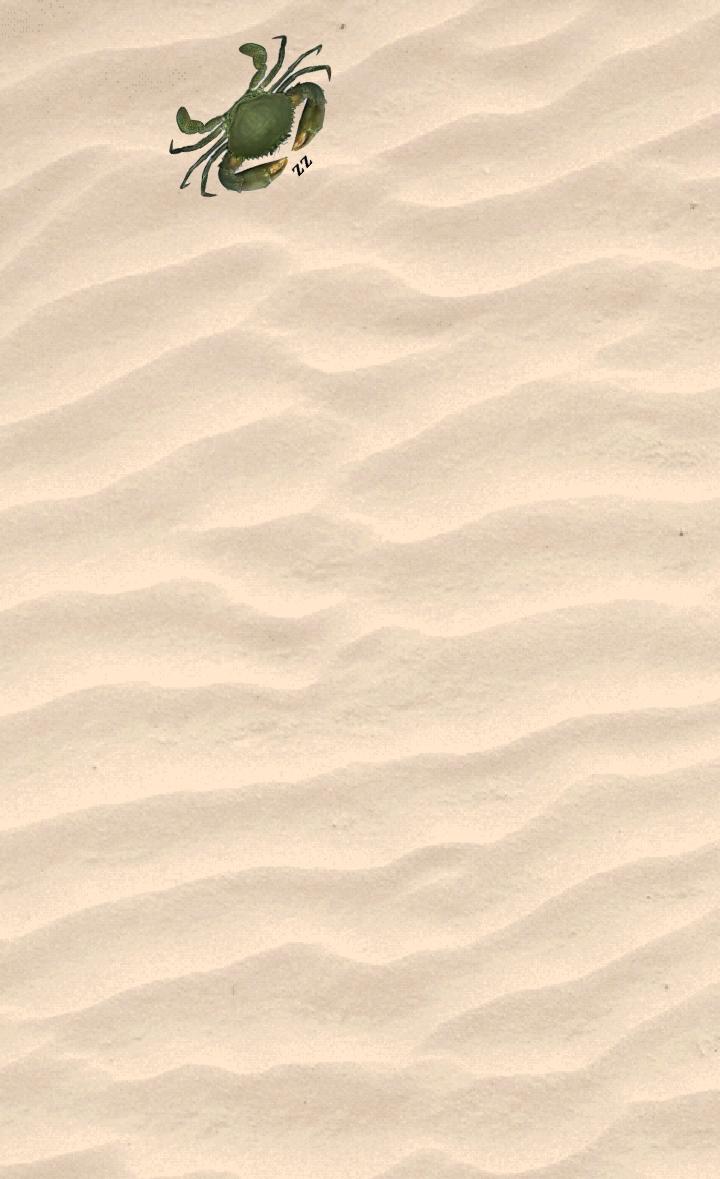 Crab simulator